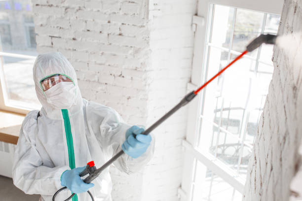 Best Emergency Mold Remediation  in Moses Lake North, WA