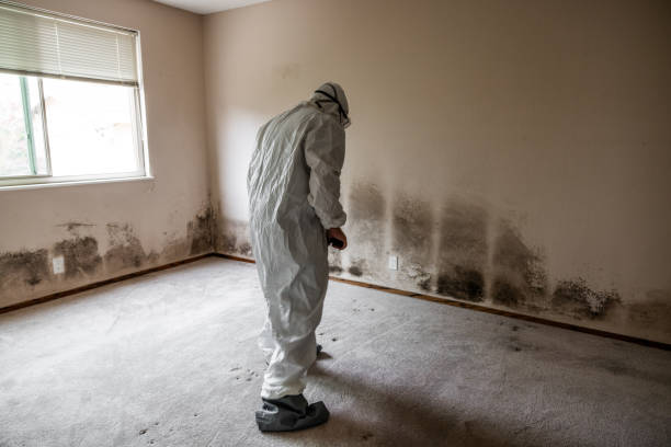 Best Real Estate Mold Inspection  in Moses Lake North, WA